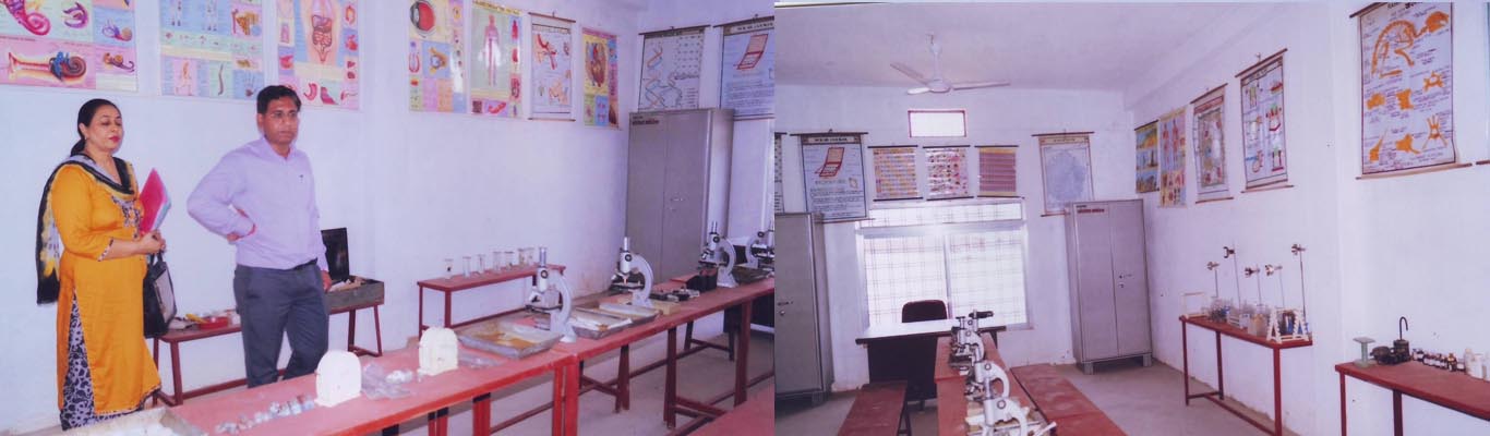 B.Ed. College in Bela satna